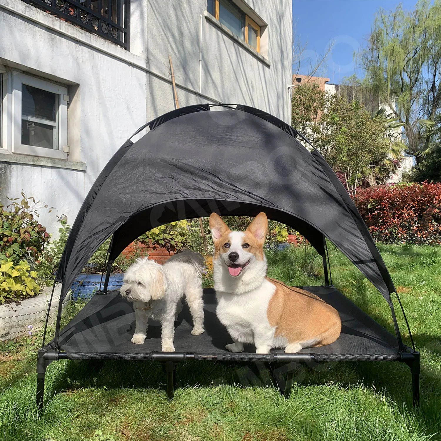 Summer hot-selling single-layer breathable tent dog bed with ceiling outdoor elevated high load-bearing dog