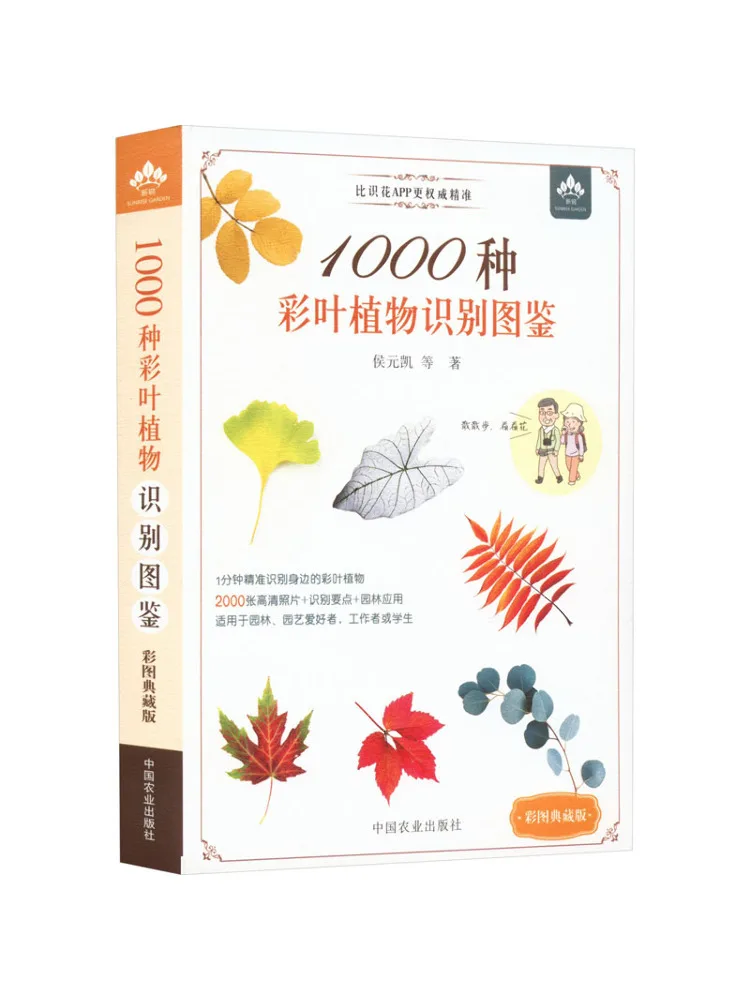 

Book-Winshare 1000 Kinds Of Colorful Leaf Plant Identification Illustrations Color Picture Collector's Edition
