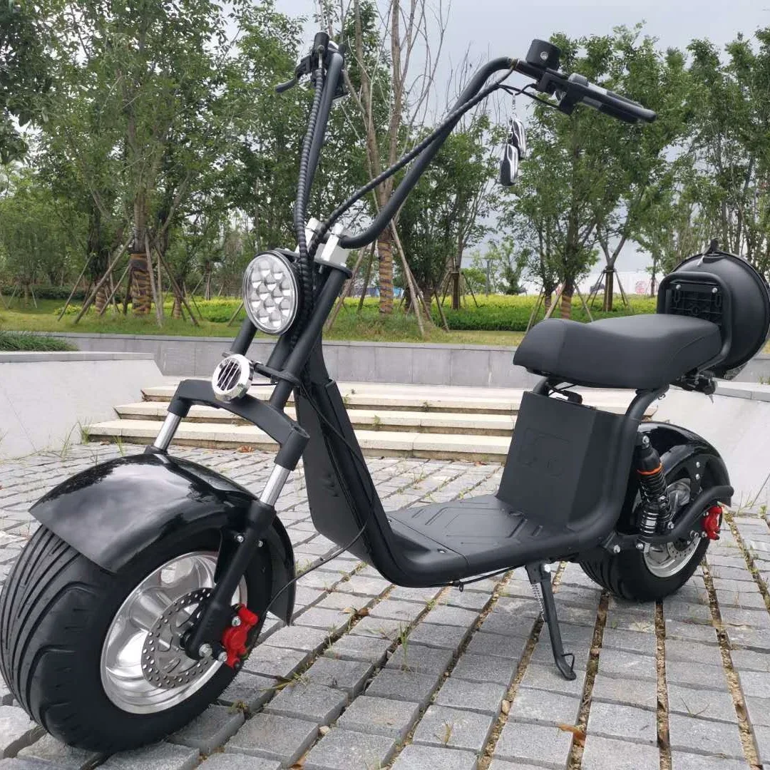 China Classic Popular Fat Tire 2 Wheel Electric Citycoco Scooter 1500w Adult Electric Motorcycle With Big Seat