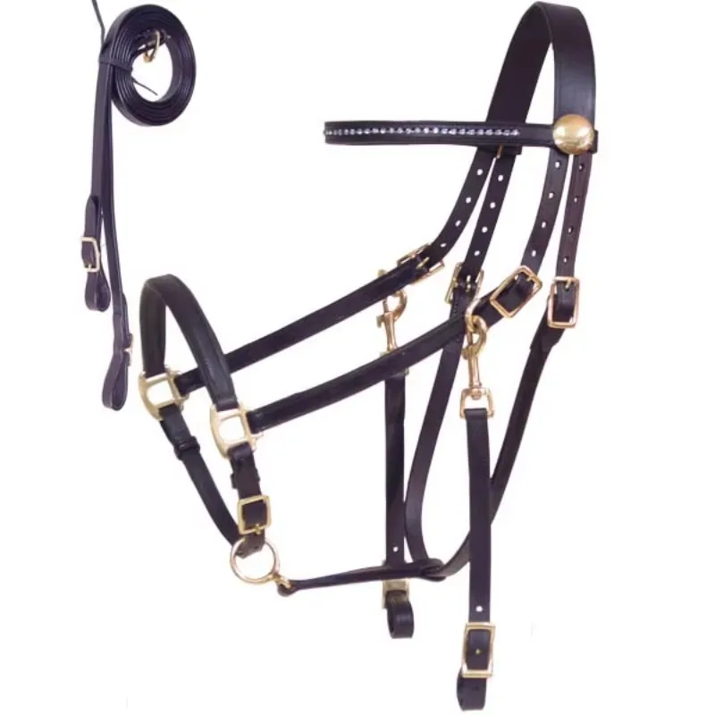 Horse Antares Halter And Bridle Customize Colour Sample Available Customize Bridle with Reins