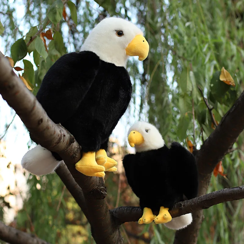 ตุ๊กตานกอินทรีเหมือนจริง ของเล่นนุ่ม ตุ๊กตาสัตว์นุ่มๆ ตกแต่งบ้าน หมอนอิงโซฟา สำหรับเด็ก ของขวัญวันเกิดเด็กผู้ชาย