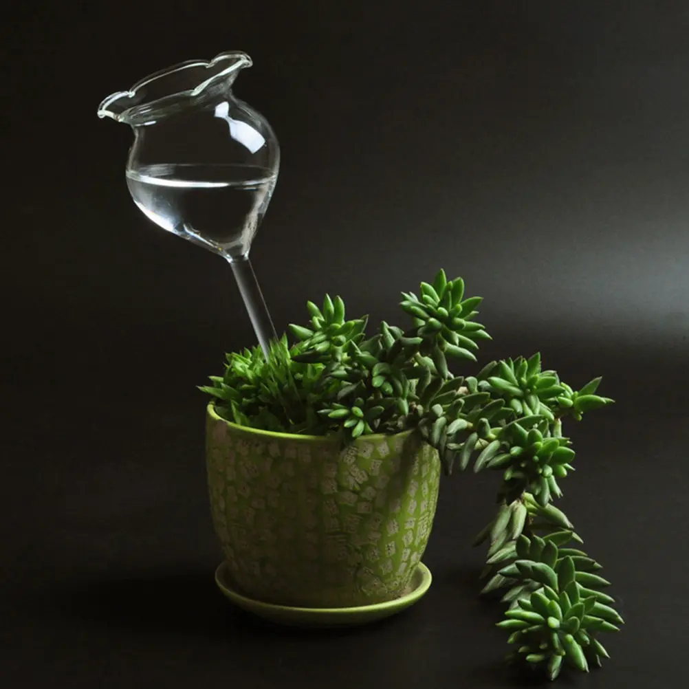 

2 Pcs Indoor Plant System Clear Globes Home Decor Bulb for Plants Glass Automatic Waterer Outdoor