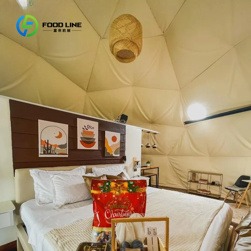 All-Season Geodesic Dome Glamping Tent, Custom Winter Outdoor Igloo House with Transparent Roof, Stove and Complete Bathroom