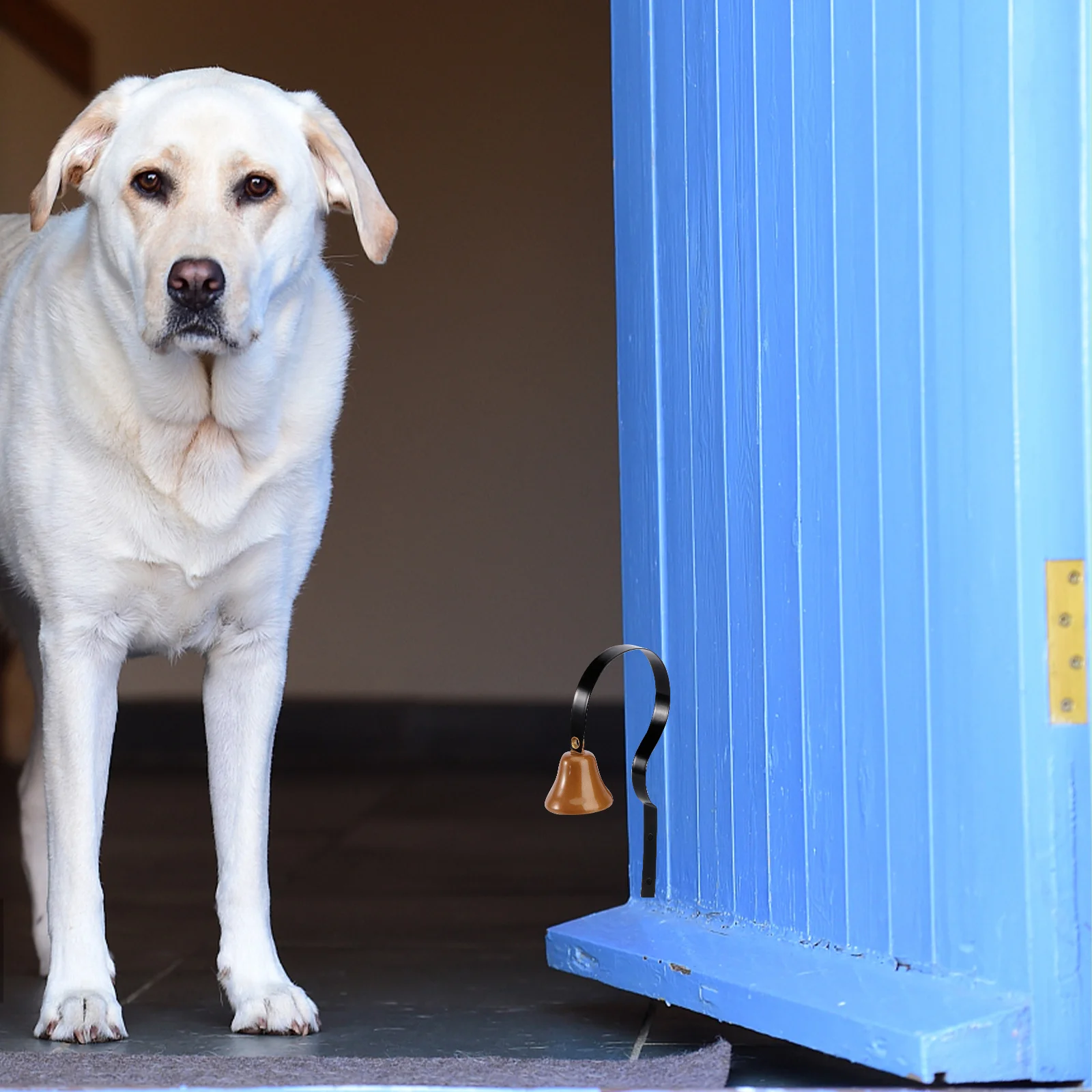 

Dog Doorbell Metal Bell Solid Brass Hanging Bell for Potty Training Housebreaking Housetraining Dog Doorbell