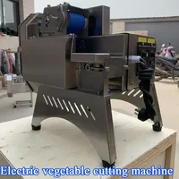 Automatic Electric Commercial Multifunction Fruit Grater and Slicer Chopper Vegetable Cutter Cutting Machine