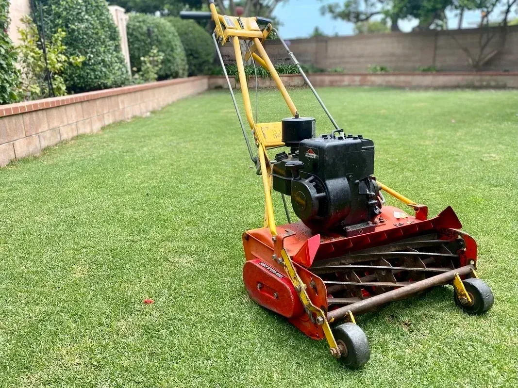 NUOVE VENDITE SCONTATE: McLane 20-5.50GT-10-GK 20 pollici. Custode verde motore Briggs & Stratton a 10 pale 5.50GT