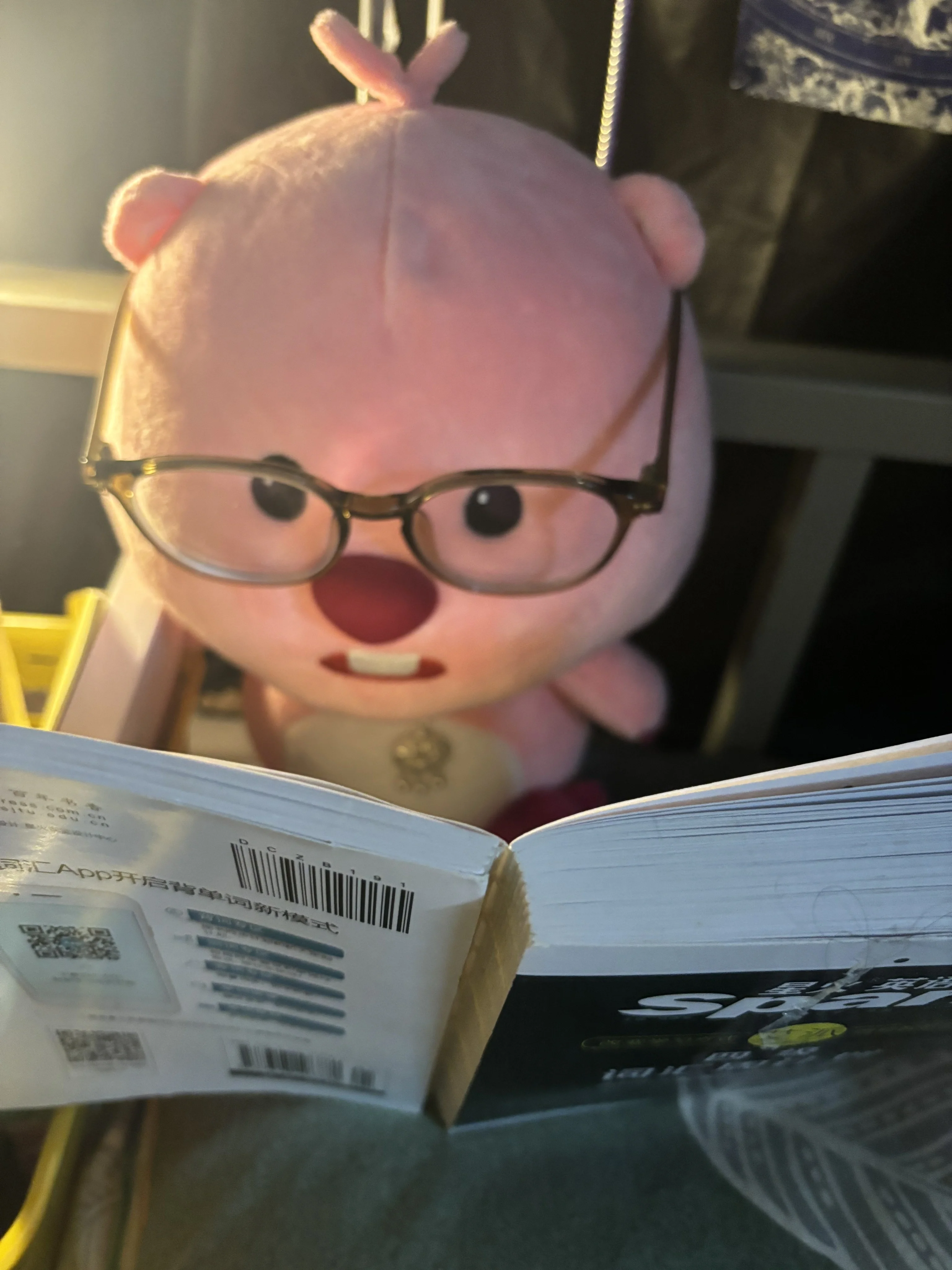 30 cm Loopy Youyou Original Anime dessin animé en peluche petit castor Rock Animal série Kawaii mignon en peluche poupée semblant enfants cadeau jouets