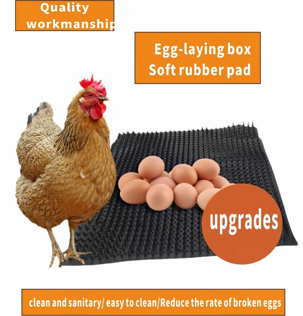 

Chicken Bedding Mats Pads Washable Hen Nesting Mat Pads Plastic Cuttable Reusable Egg Collector Laying Mats For Poultry Mats