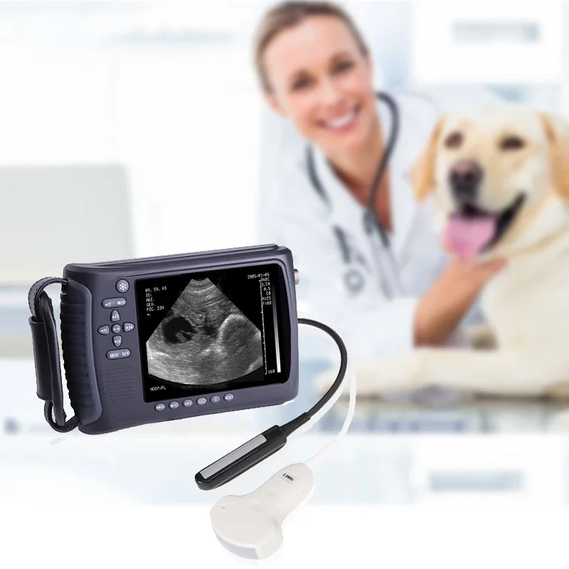 

Veterinary Ultrasound Machine For Veterinary Clinic Animal Cattle Horse Bovine Portable Ultrasound Machine