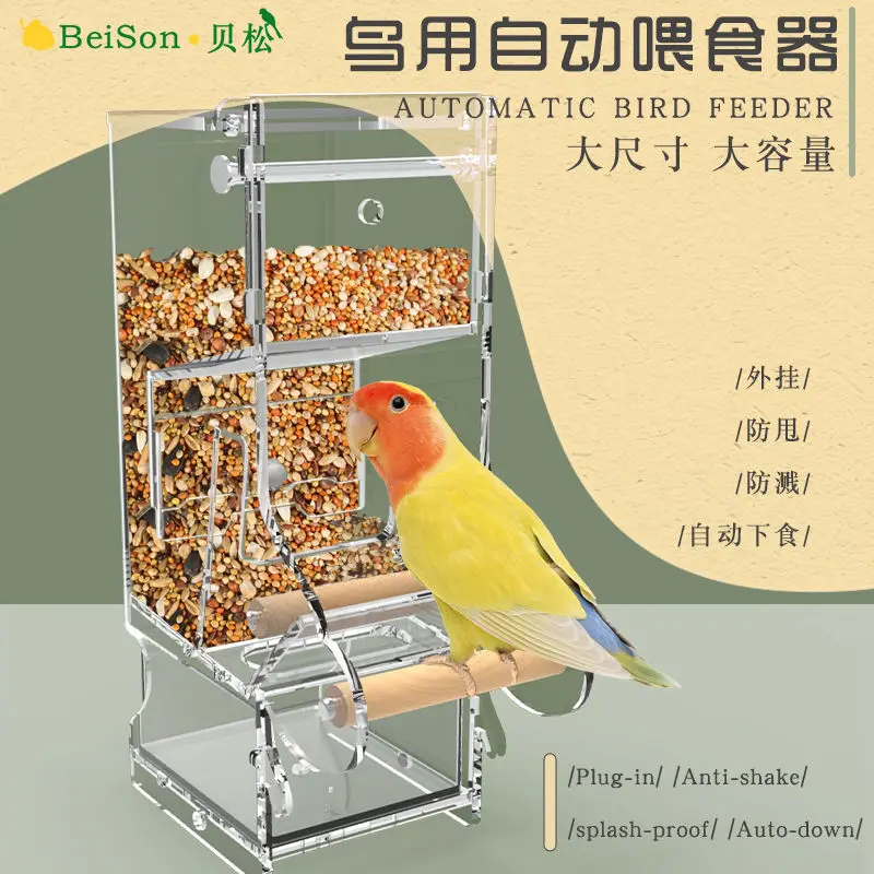 Parrot feeder automatic small and medium-sized bird feeding basin anti scattering and anti splashing bird feed feeding box