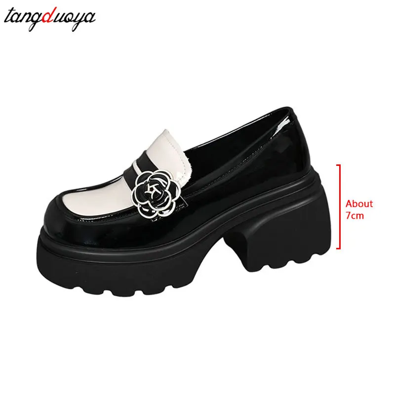 Luxury Designer Brand Mary Jane High Heels Women\'s Platform Loafers Gothic Black Single Shoes Women Japanese JK Uniform Shoes