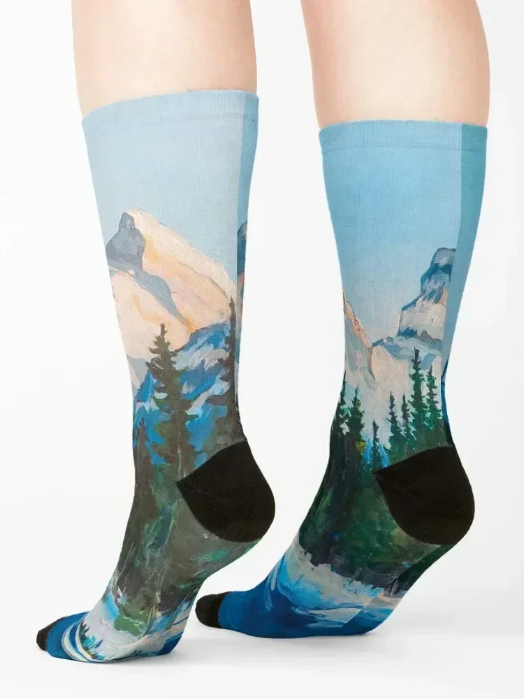 Three Sisters Socks floor floral golf Thermal man winter Socks Men Women's