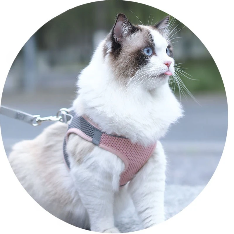 Pet Cat Dog Harness Vest Chest Rope Set Reflective Breathable Adjustable Pets Harness Kitten Collar for Small Medium Dogs Cats