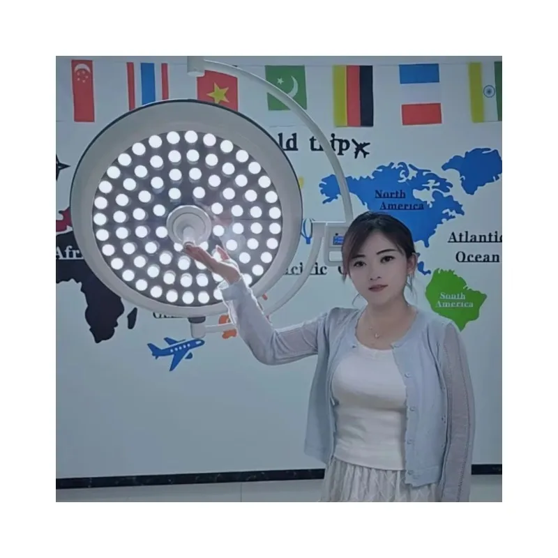 Sala de operaciones médica, cirugía plástica Oral para mascotas, lámpara LED móvil suspendida halógena de un solo cabezal, lámpara quirúrgica sin sombras de doble cabezal