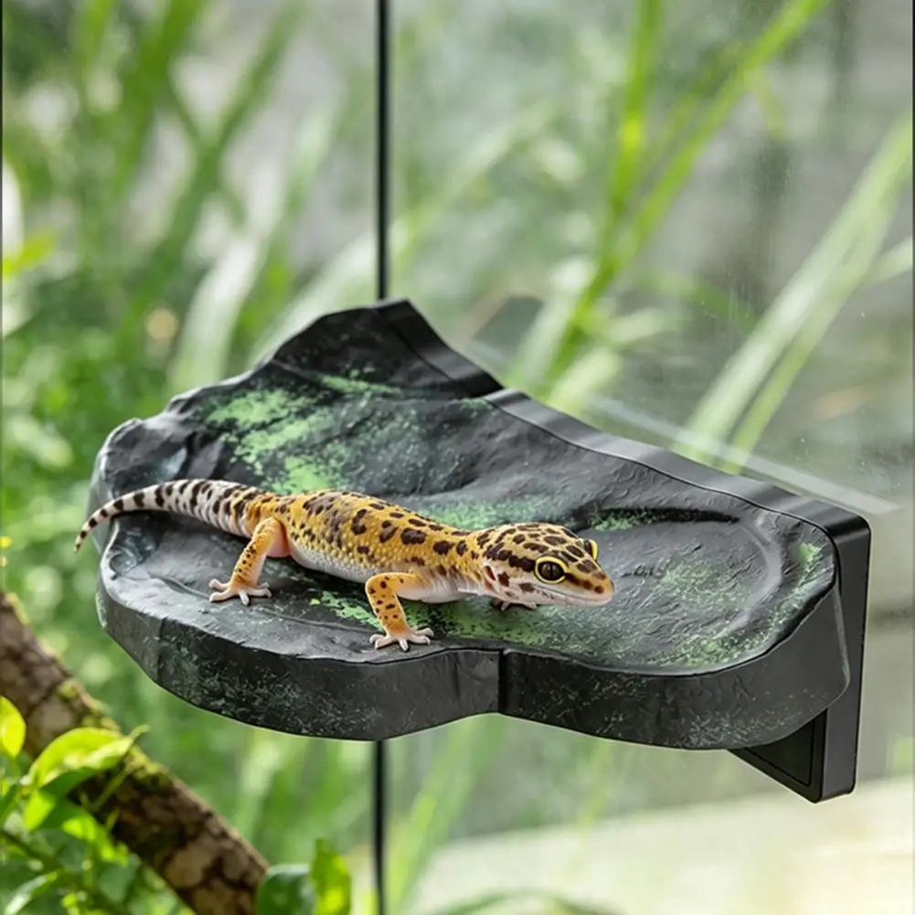Terrarium Climbing Shelf Magnetic Wall Decor for Magnetic Ledge Climbing Shelf Terrarium Rock Platform Strong Magnet Gecko Tree