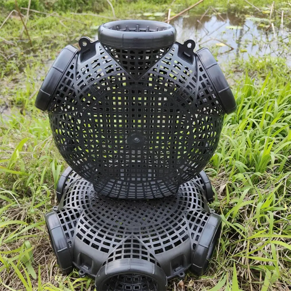 Fishing Pot 3/6/8 Holes Black Fish Net Cage Durable Easy To Install Loach Trap Multifunctional Plastic Fishing Traps Mixed Fish