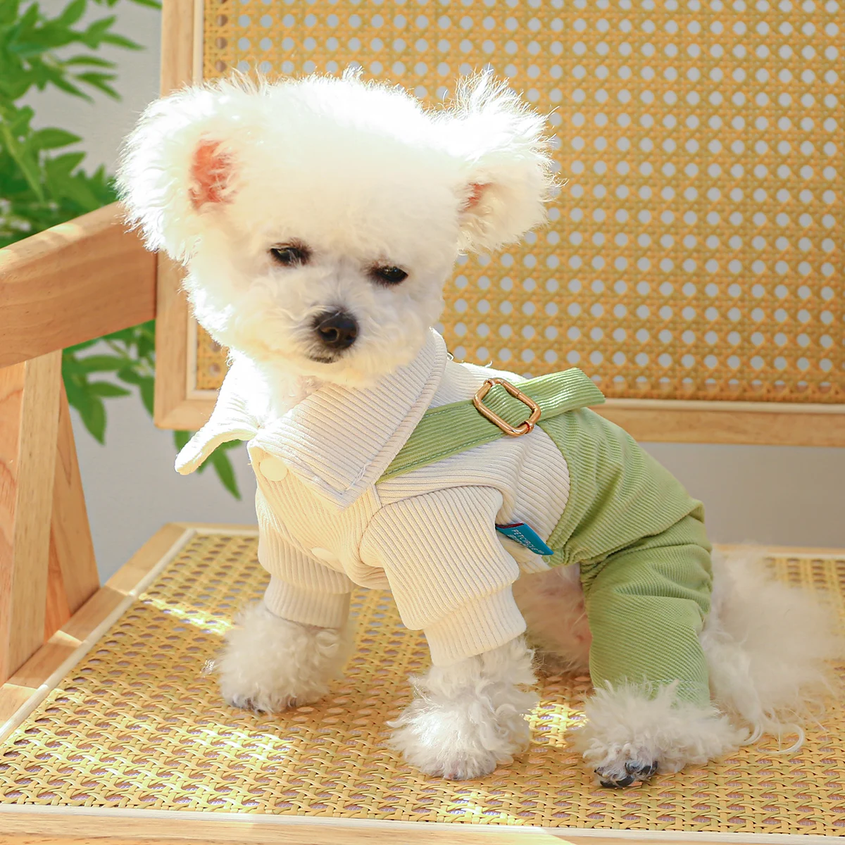 1PC Pet Apparel Dog Spring and Autumn Strap Pants Green Four legged Pants with Pulling Rope Button For Small Medium Dogs