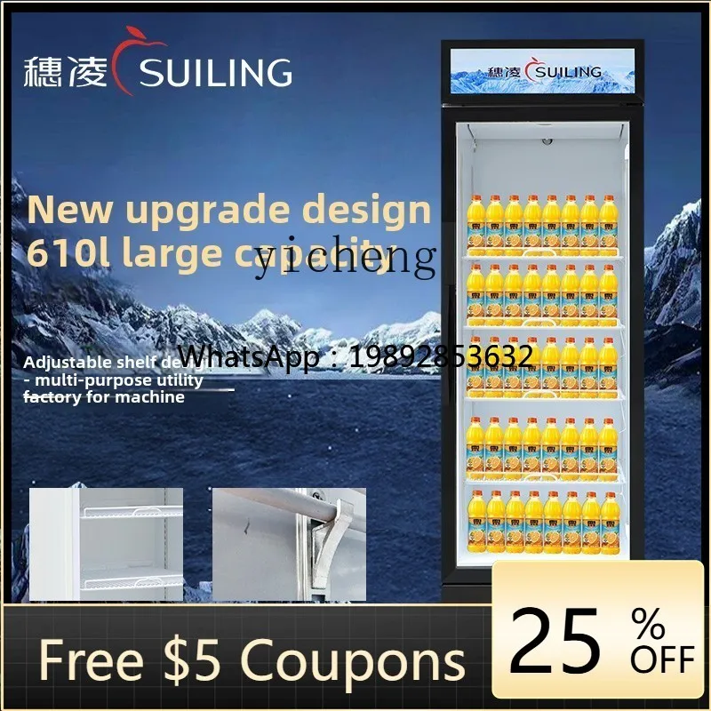 

AA 1 Freezer Air Cooled Frost Free Vertical Single Door Refrigerated Display Cabinet Commercial Beverage Cabinet