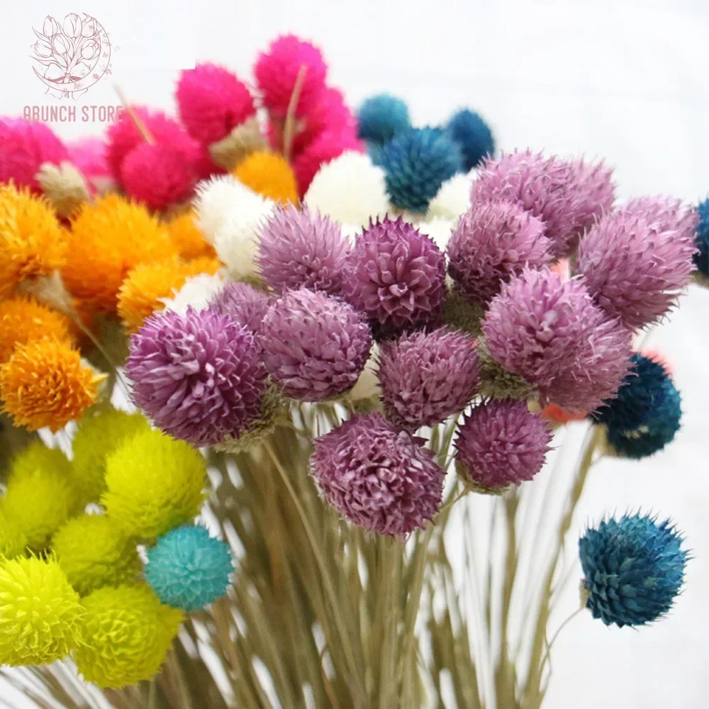 15pcs Natural Dried Flowers Colorful Small Strawberry Fruit Christmas Home Vase Decor Artificial Plant Wedding Bouquet Accessory