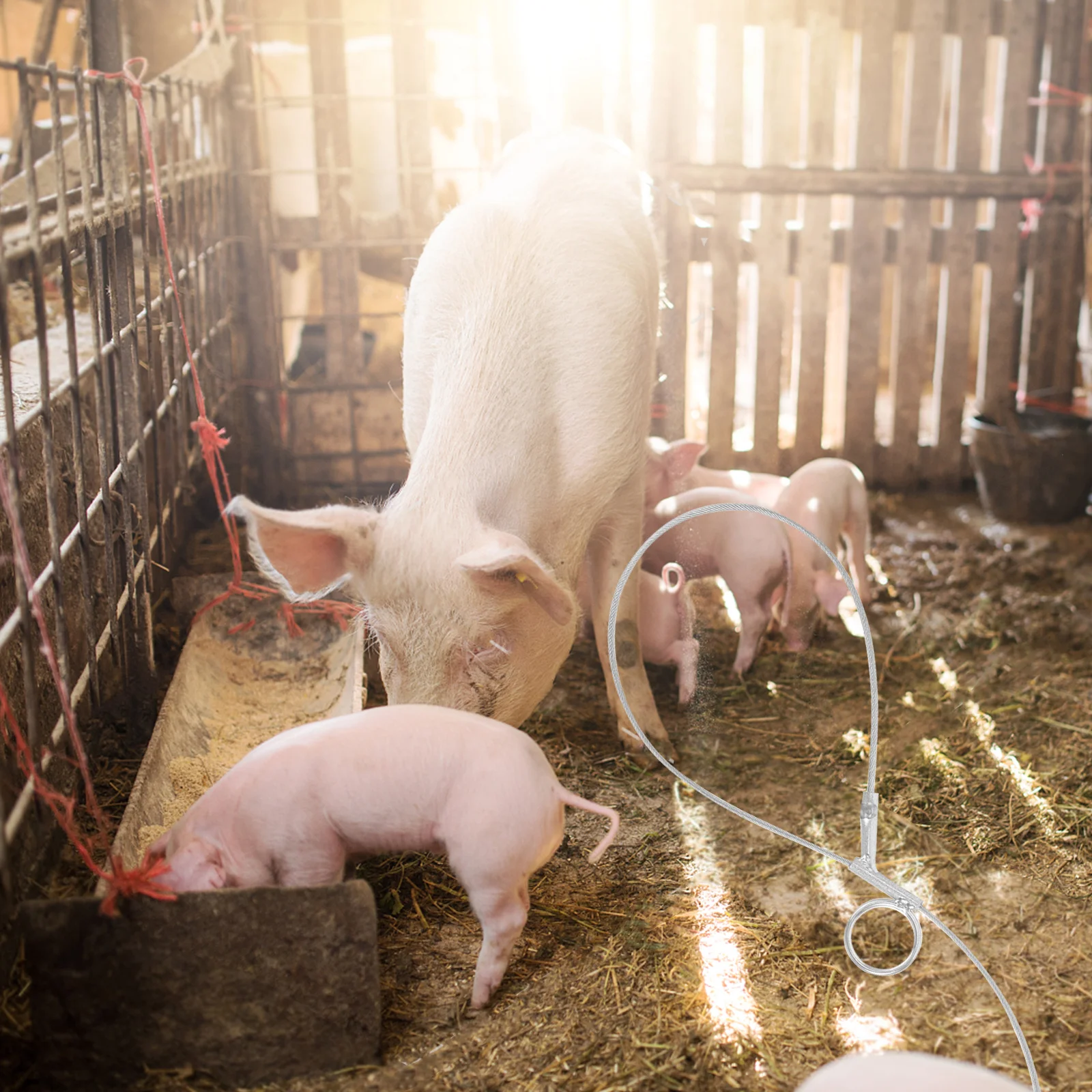 

Stainless Steel Pig Catcher Adjustable Handle Safe Pig Holder Sheep Cattle Catcher Farm Livestock Tool Farm Accessory