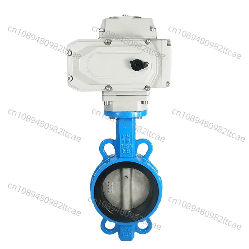 Electric Butterfly …