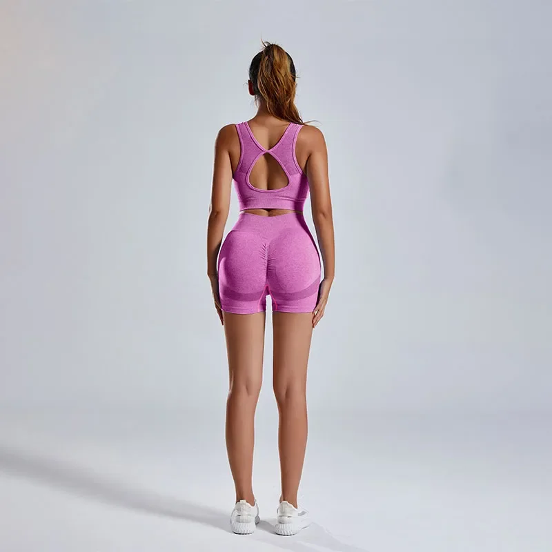 Traje de Fitness para mujer, conjunto de 2 piezas de Sujetador deportivo con espalda hueca, pantalones cortos de cintura alta, traje de Yoga