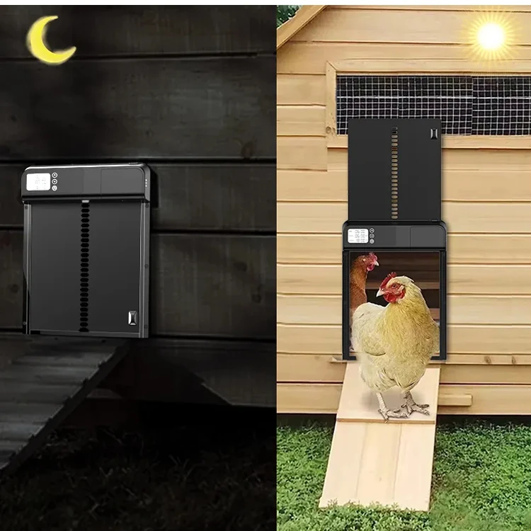 

Automatic Chicken Coop Door Automatic Chicken Coop Door Aluminum Chicken Coop Automatic Door Opener