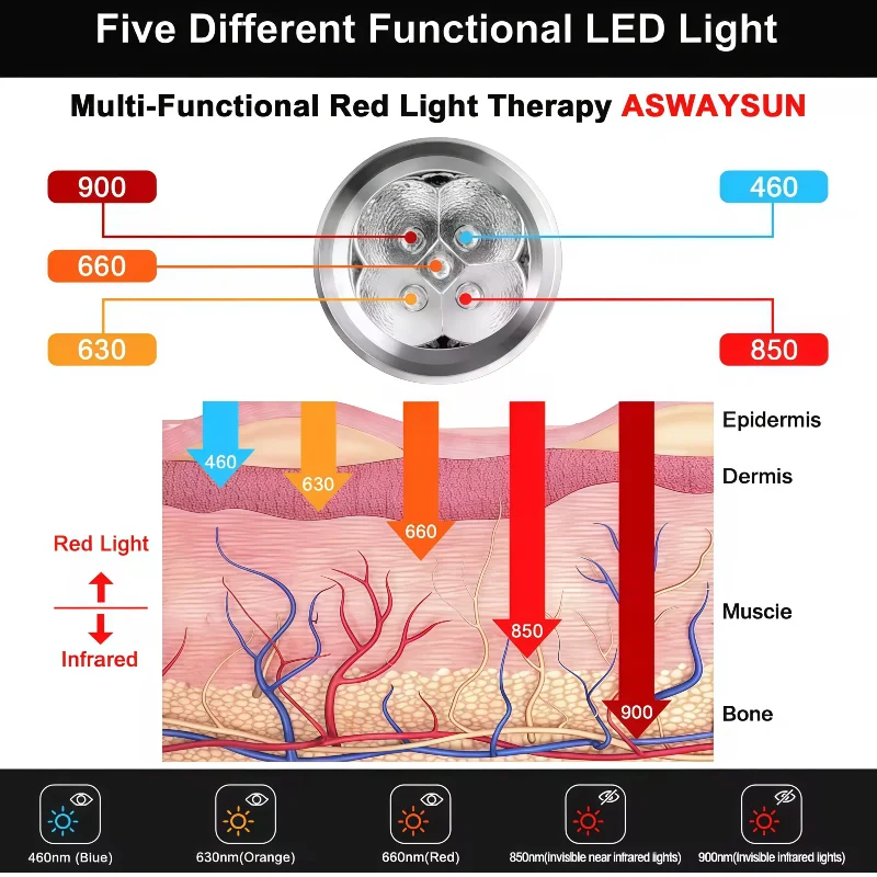 

Ручной инфракрасный свет, физический инструмент, красный свет, инфракрасная терапия, обрыв полости рта, боль в зубах, канистр, губ, гигивит