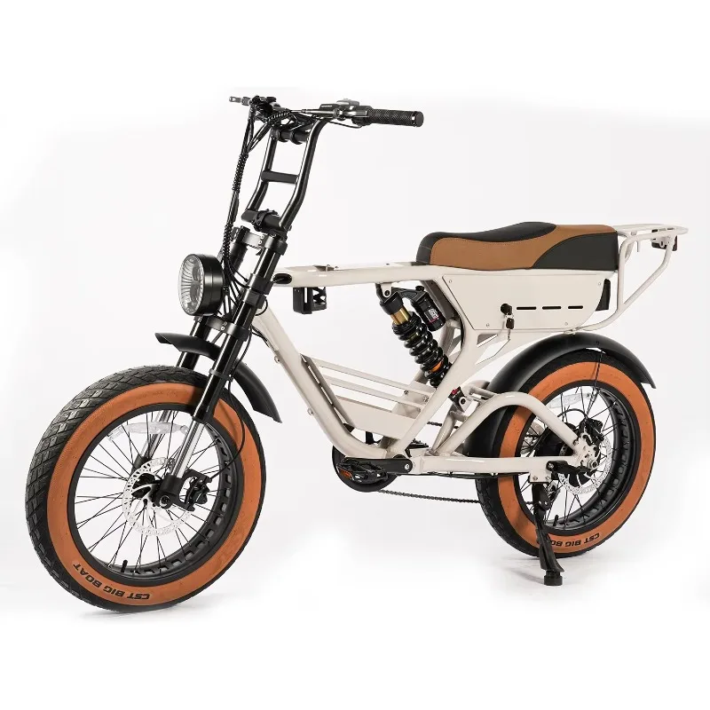 

1000 watt power remote 20 inch tire electric bicycle with rear wheel hub motor popular bicycle 750 watt electric bicycle