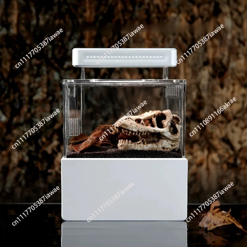 Desktop small mini bucket fish tank ecological cycle Jurassic landscaping fish tank micro landscape fish tank