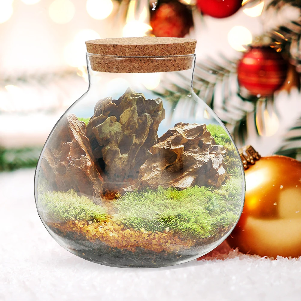 

2pcs Ecological Bottle Transparent Glass Round Microlandscape Jar Smooth Surface Diy Desktop Succulent Bottle Home Decor Glass