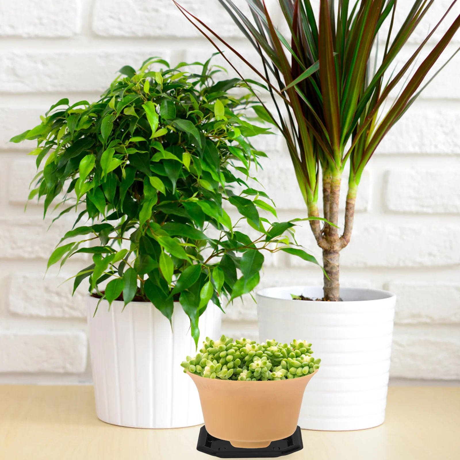 

50pcs Square Flower Pot Heavy Duty Plant Saucer Plastic Planter Drainage Tray Transparent Material Promoting Healthier Plants