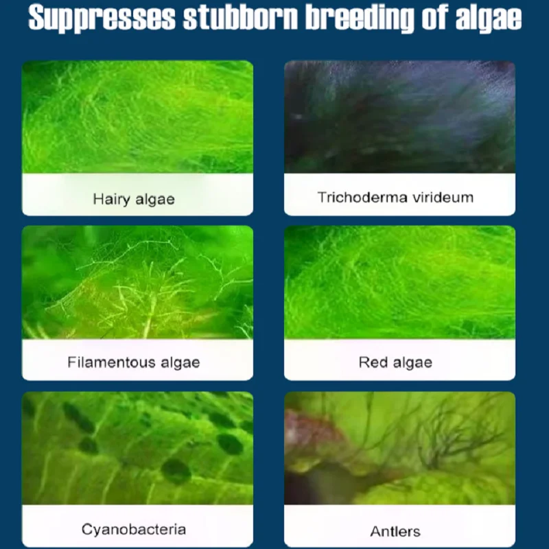 Thumbnail 4 - #13 Trending Aquarium Cleaners Right Now