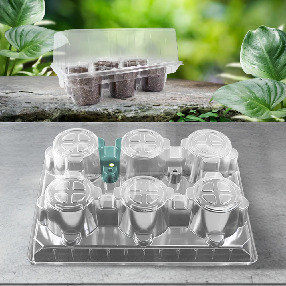 Nursery Cup Tray Kit with 6 Seedling Cups Adjustable Vented Lid Clear PET for Large Seed Germination Home Gardening Essentials