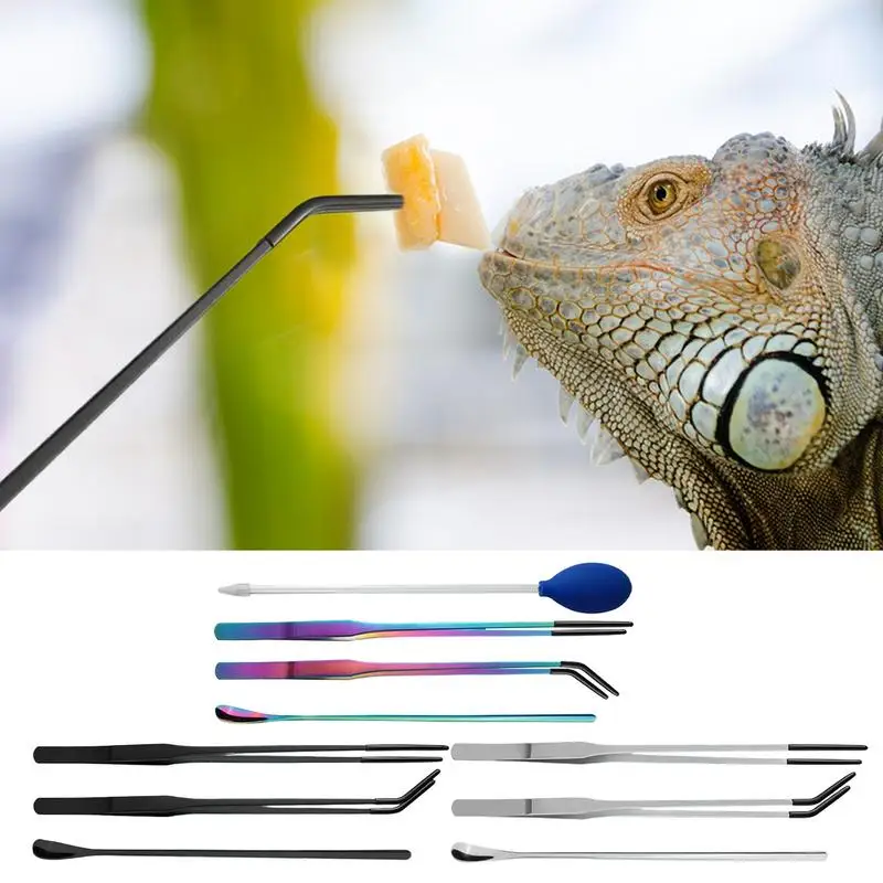 rubber head reptile feeding tongs Aquarium Tweezers Comfortable Terrarium Reptile Supplies crested gecko box accessories