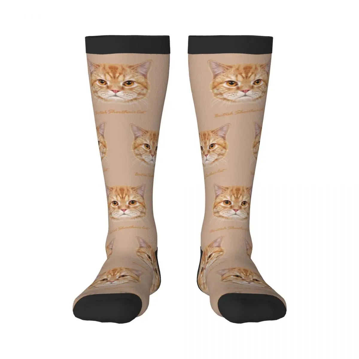

British Shorthair Cat Face Unisex High Socks for Men Women Autumn Winter