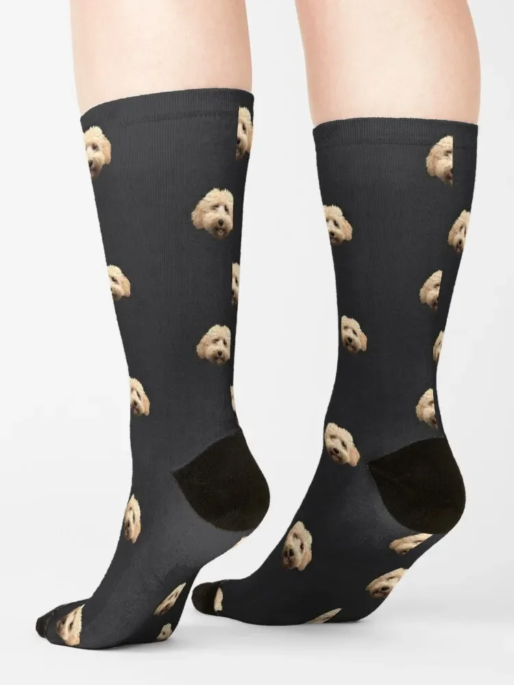 Rosie the Goldendoodle-Calcetines de nieve para hombre y mujer, medias térmicas holgadas, color gris, novedad de invierno