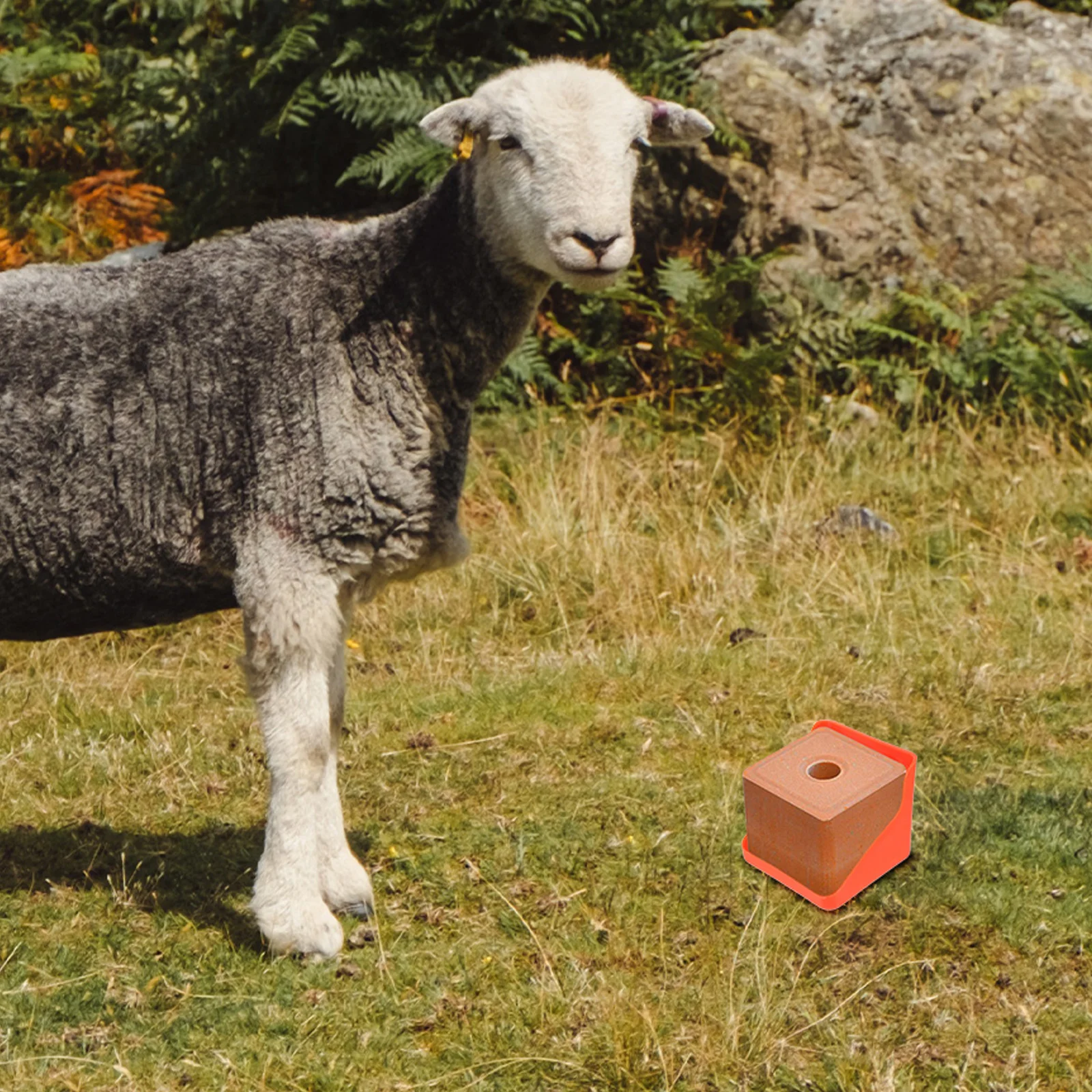 Lick Brick Block Holder for Salt Fodder Storage Container Box For Salt Brick Horses Goats Livestock Durable Rack Storage