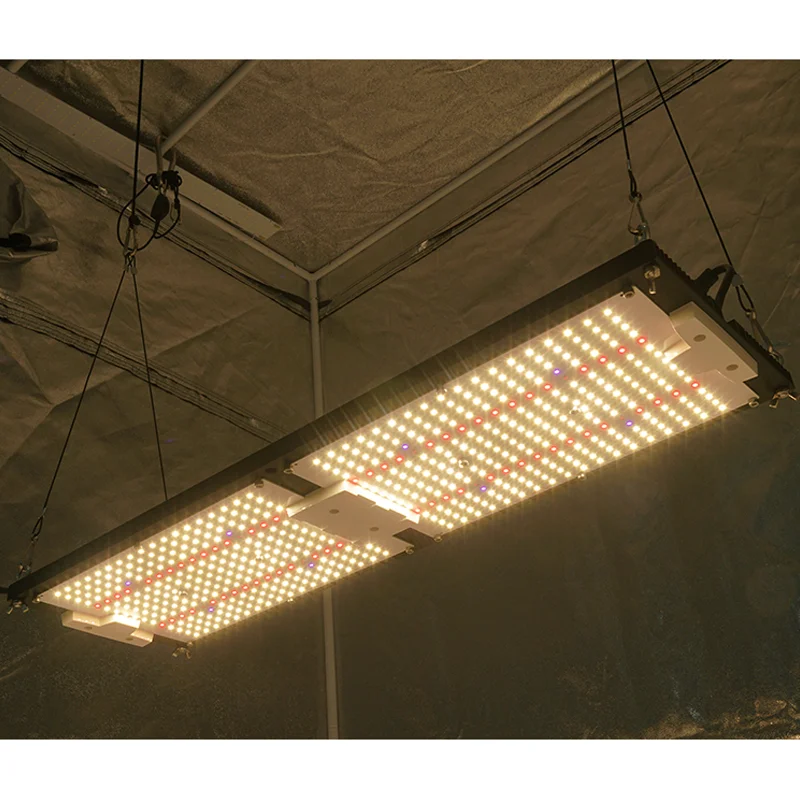 KingBrite 240 واط LM301H الكم LED تنمو ضوء مصباح الأشعة تحت الحمراء UV الطيف الكامل Phytolamp لوحات للنباتات الزراعة المائية