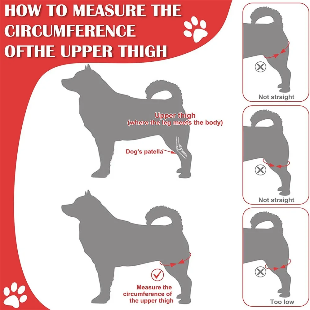 Pet Dog Knee Brace for Joint Pain Muscle Sore Leg Brace Rear Leg Bracer Support for Elderly Disabled Injured Dogs Knee Brace