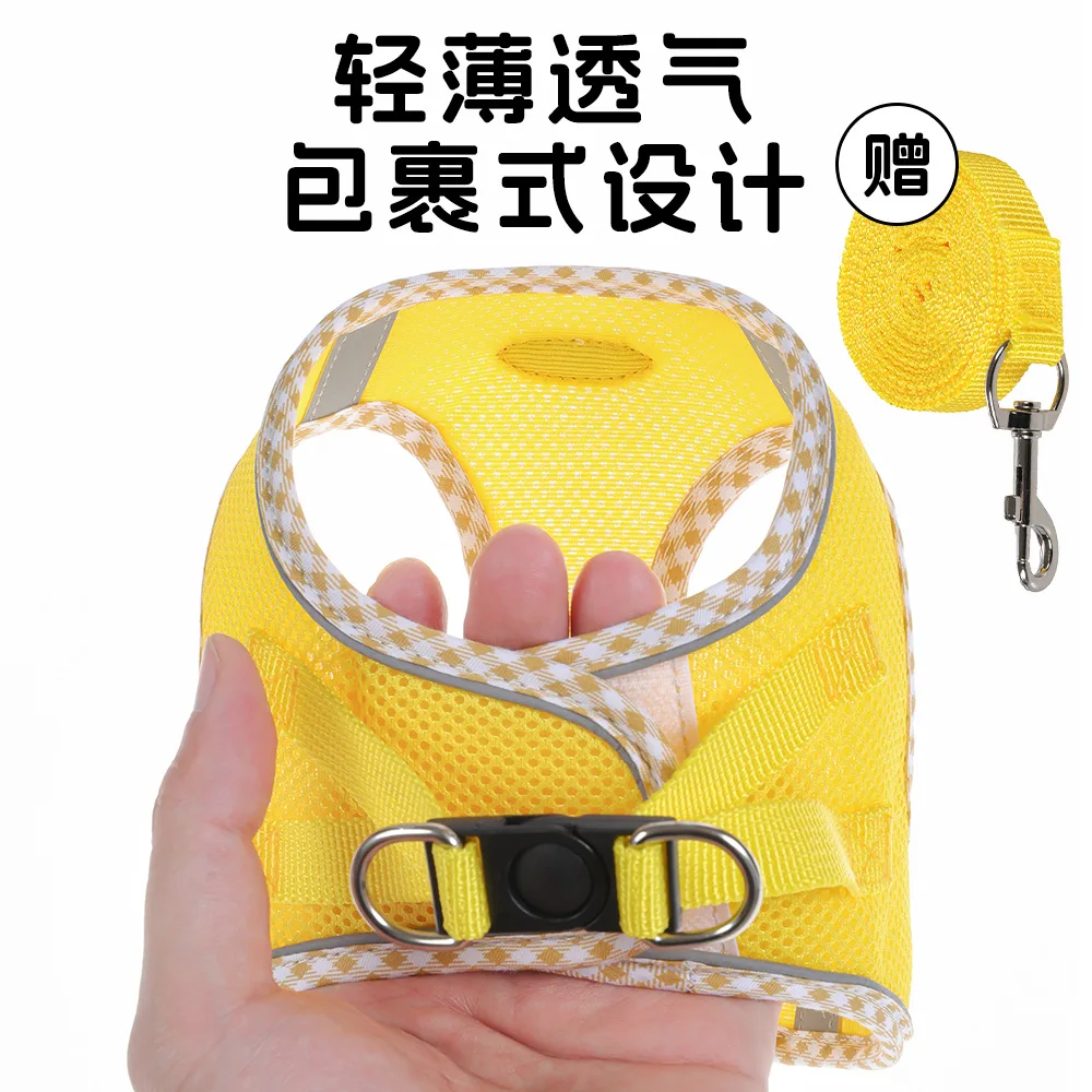 Arnés y correa para perro-gato - Accesorios de paseo diario práctico - imagen 3
