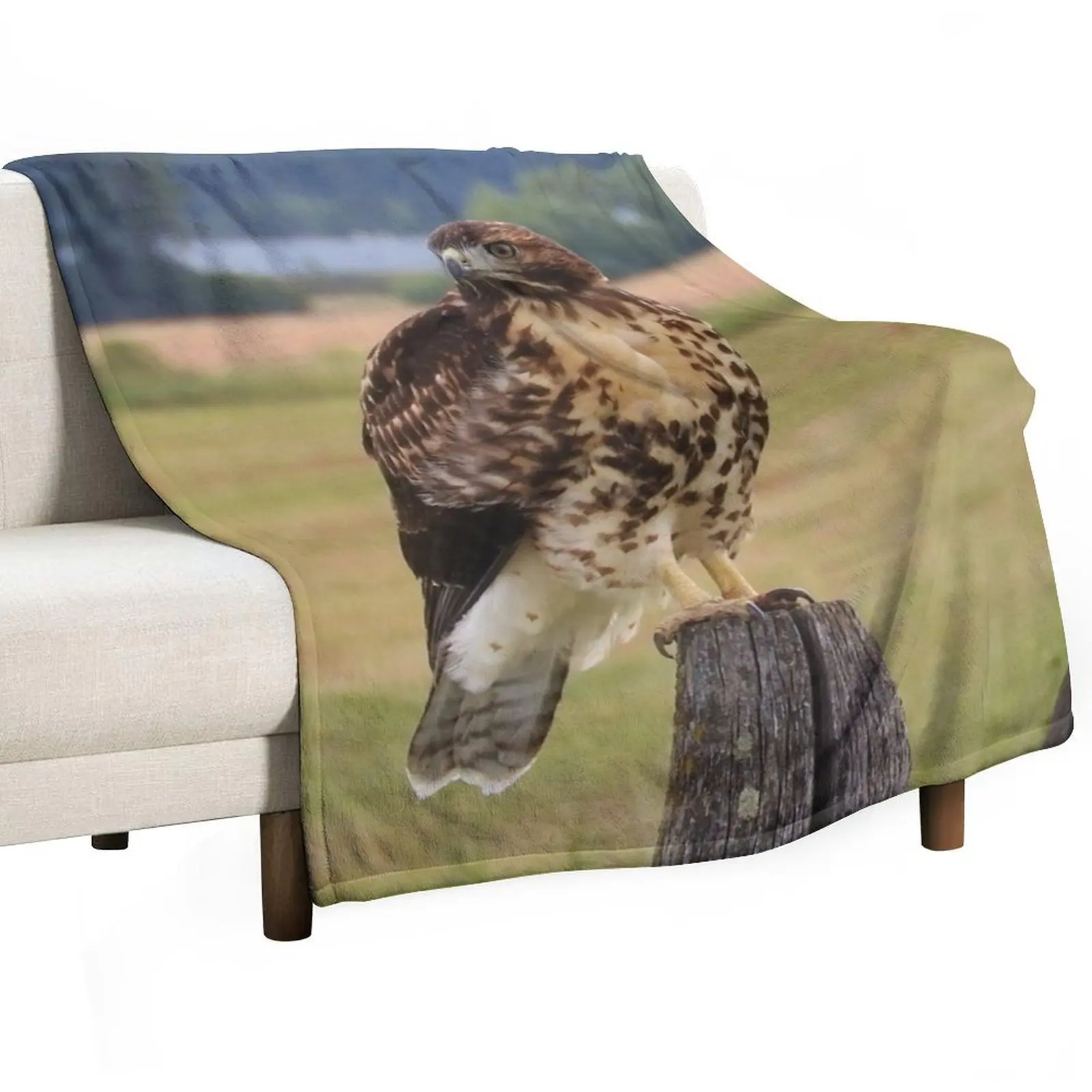 

Red-Tailed Hawk Throw Blanket blankets ands for sofa Picnic Designers Blankets