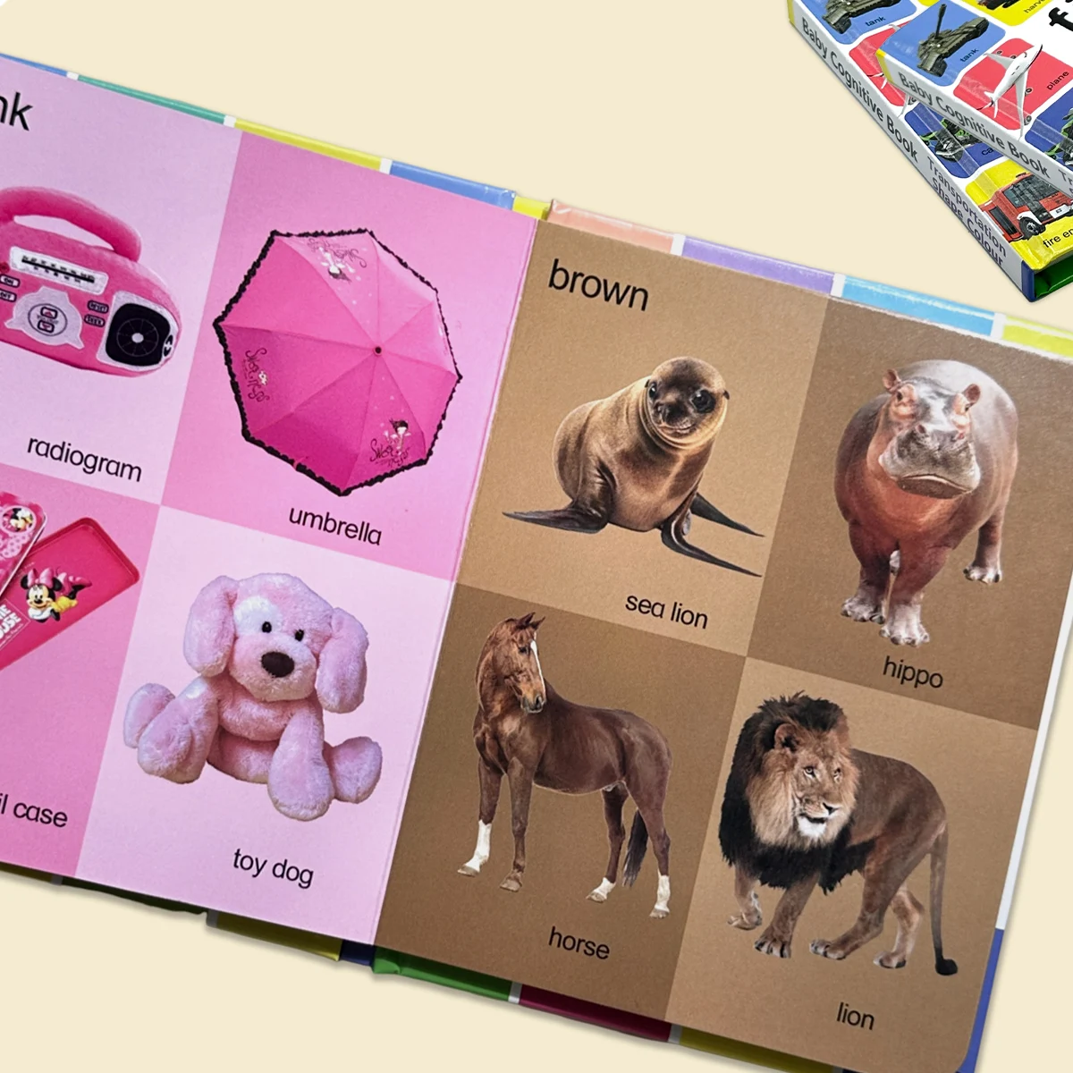 First 100 Transportation, Shape & Colour Learning Cards for Babies