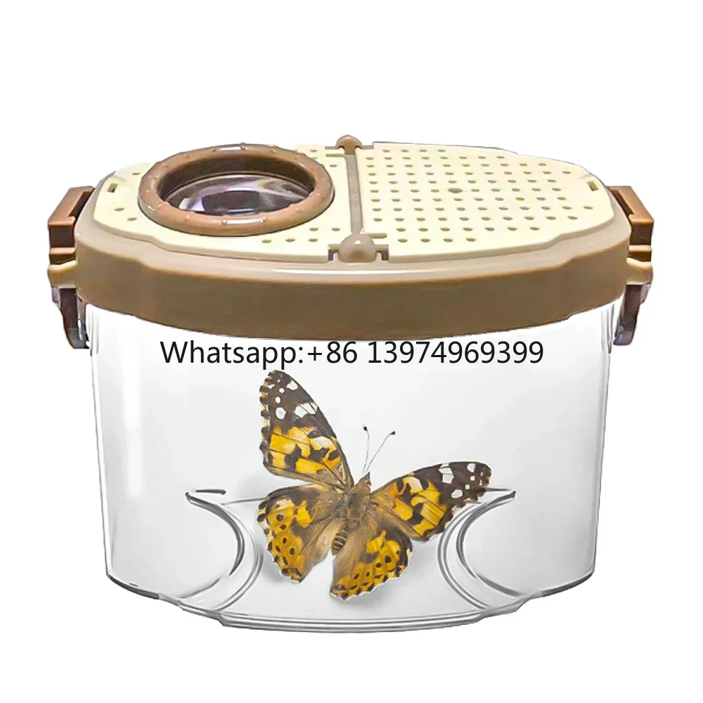 Good Quality Bug Catcher Magnifier Insect Catching Observer Bug Catcher Magnifier Insect Observation Box for Kids factory