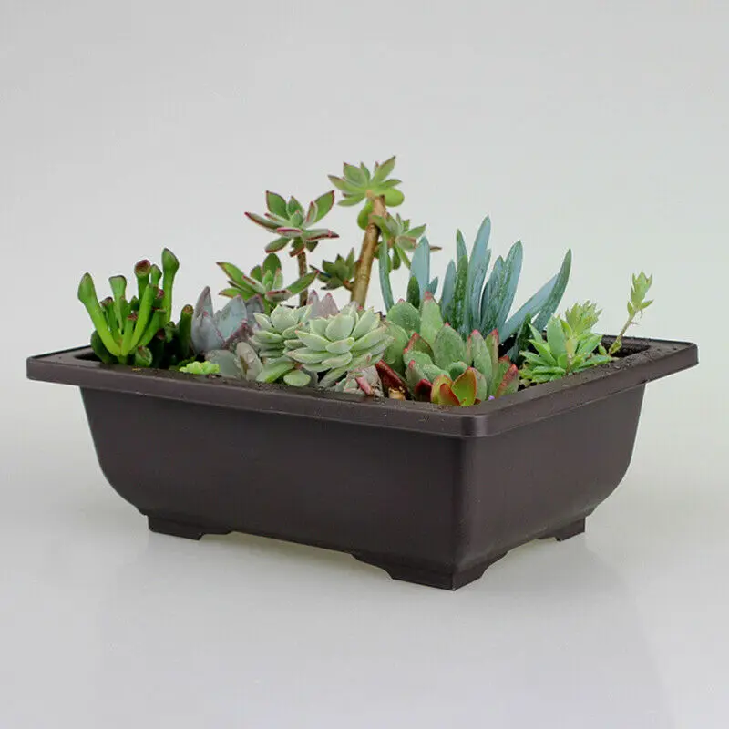 Duży kwiat doniczka prostokąt Bonsai przedszkole sadzarka balkon pojemnik 29X21X10.5cm