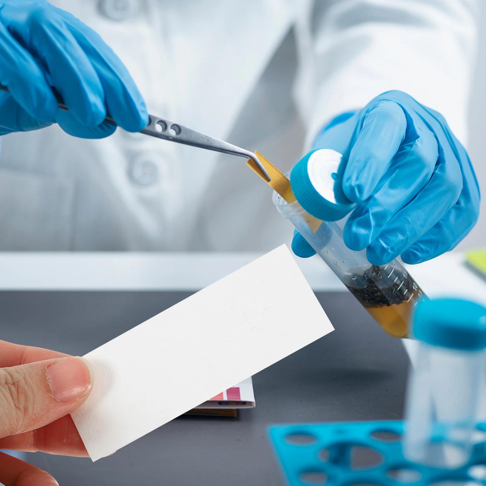 

500 Pcs Consumables Absorbent Paper Mother Laboratory Wipes Neutral Cotton Blotting for Science