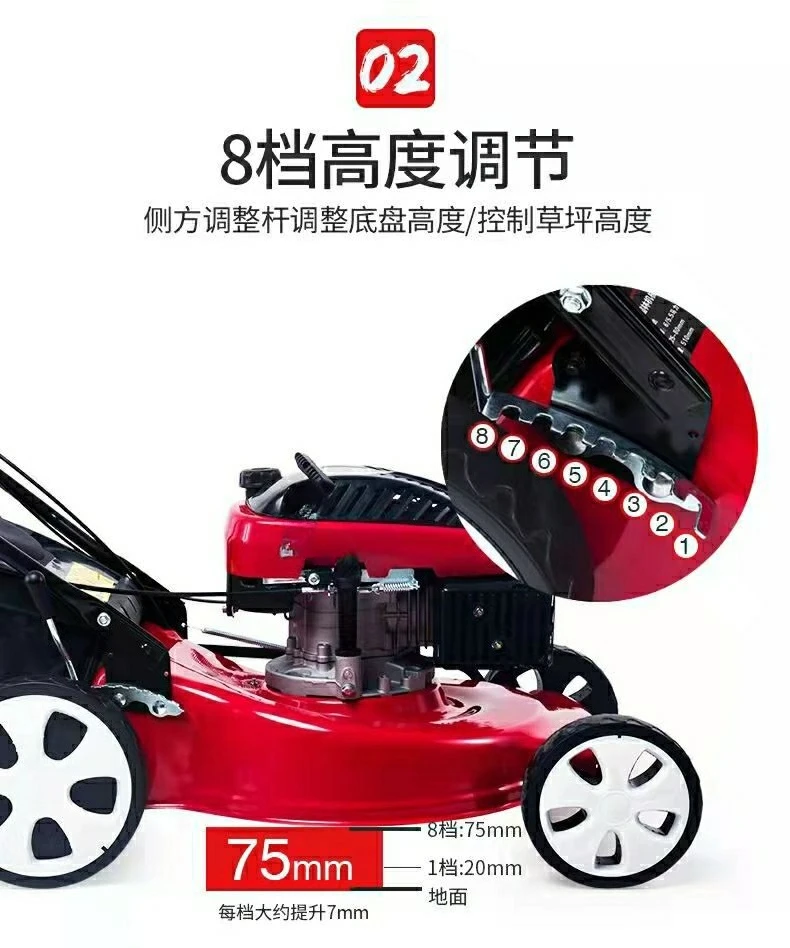 Frutteto pushpusher manuale per tosaerba Zongshen