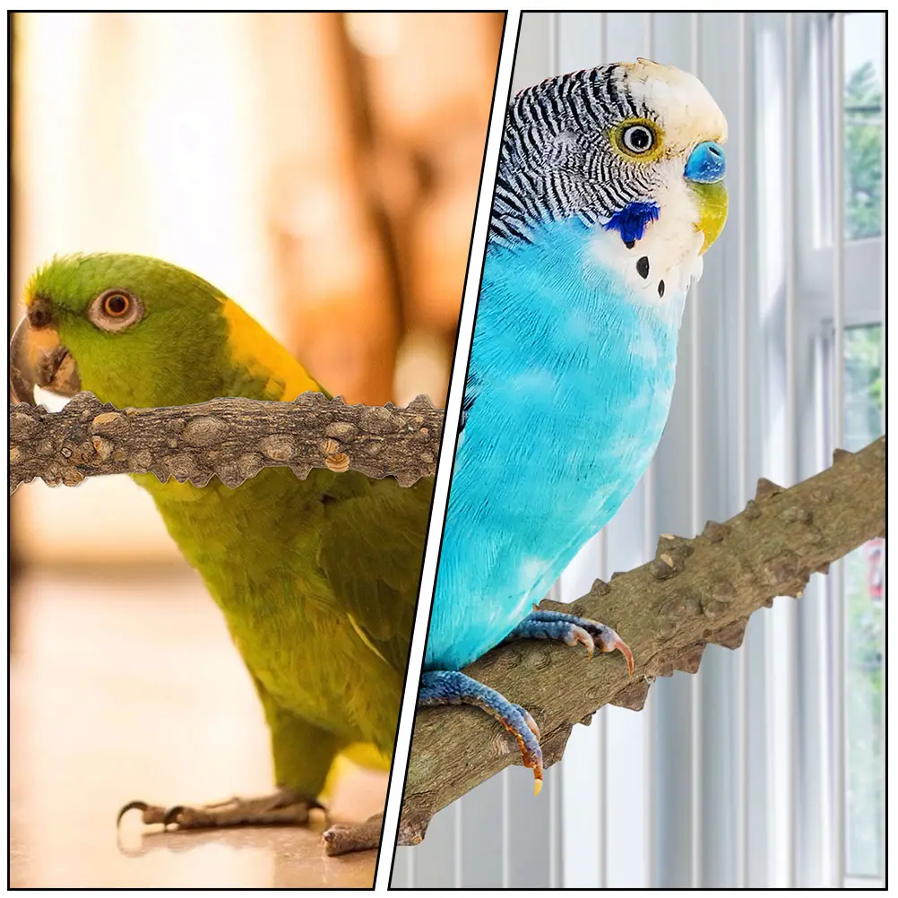 

2pcs Wood Cage Standing Play Bite Resistant Durable Parrot Perch Play Stand Grinding Claw Rod Bird Activity Standing