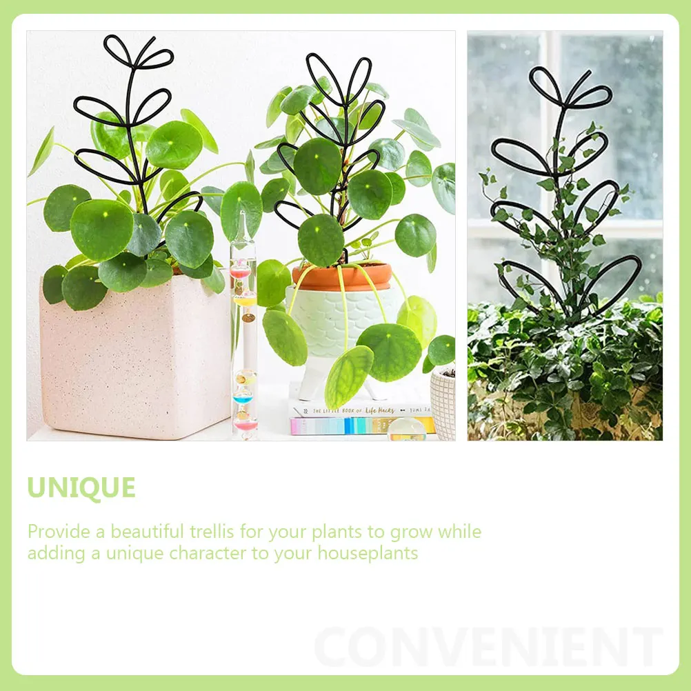 

Potted Plant Climbing Frame Plants Support Rack Trellis Panel Black Stand Pots Indoor
