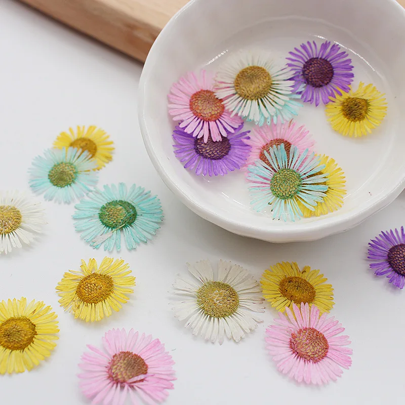 250pcs Pressed Dried Erigeron Annuus Flower Plants Herbarium For Wedding Party Home Pendant Necklace Craft DIY Accessories